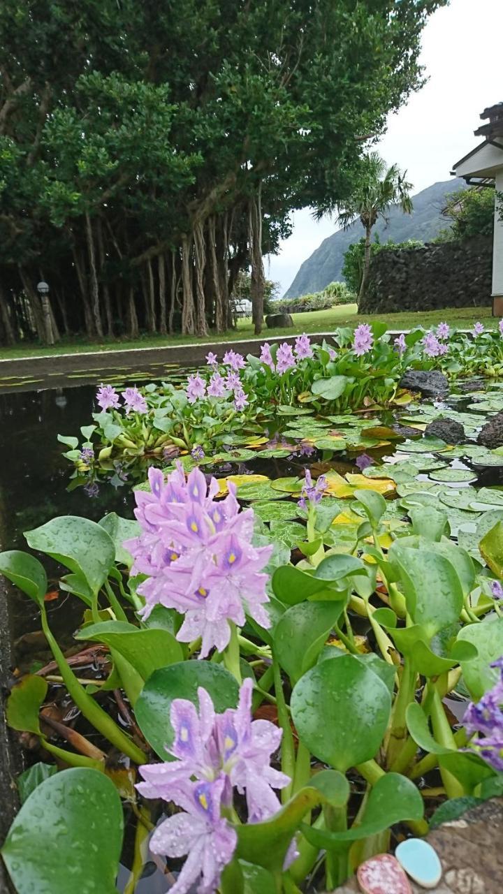 そこど荘 八丈町 エクステリア 写真